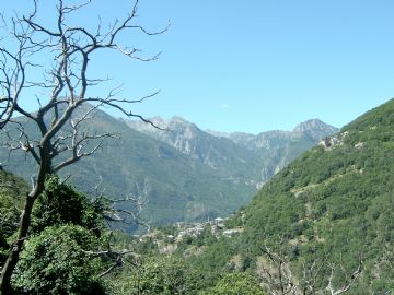 Sfoglia la galleria